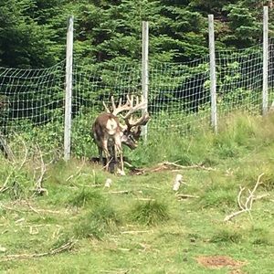 Meet your Posher, Kelli